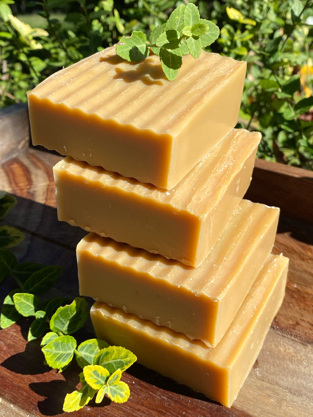 Shea Butter Turmeric Soap 3 Pack